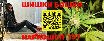 СК Краснознаменск