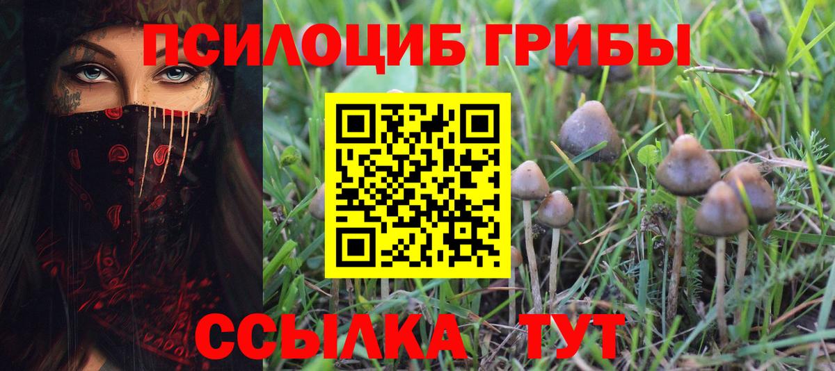 Псилоцибиновые грибы GOLDEN TEACHER Тимашёвск