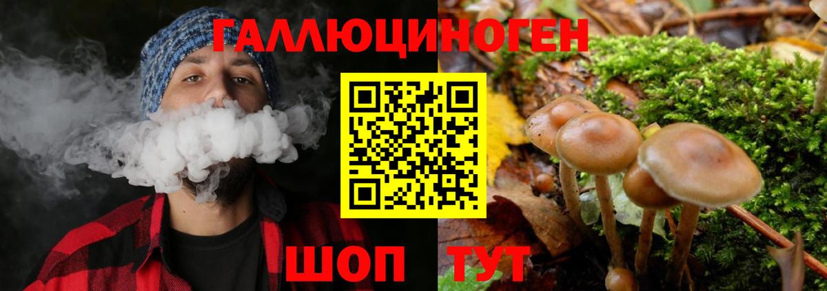 Псилоцибиновые грибы GOLDEN TEACHER  Галлюциногенные грибы GOLDEN TEACHER  Тимашёвск  Вход с VPN 